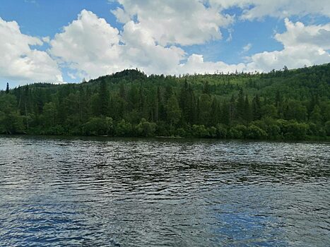 на Красноярском водохранилище пройдет заплыв ко Дню российского флага