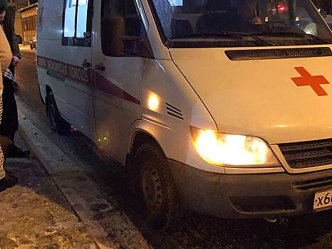 Два ребенка погибли в результате ДТП на дороге «Липицы – Новоселки» в Подмосковье
