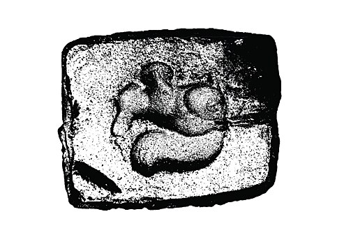 В Свияжске открывается выставка «По ту сторону музея» — о том, что обычно скрыто от посторонних