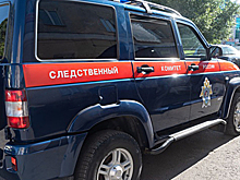 Заказавшую сына россиянку отправили жить с ним до суда