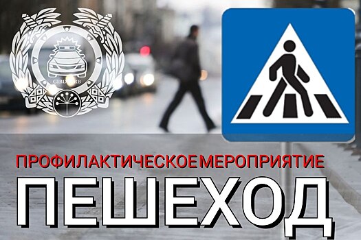 ГИБДД в Башкирии объявила о старте профилактического мероприятия «Пешеход»