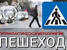 ГИБДД в Башкирии объявила о старте профилактического мероприятия «Пешеход»