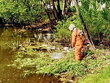 В Новосинеглазово создадут зону отдыха на берегу водоема
