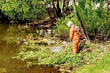 В Новосинеглазово создадут зону отдыха на берегу водоема