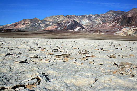 Жизнь в Долине Смерти: в американской пустыне появилось озеро
