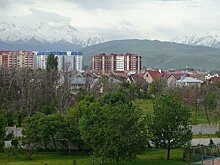 Юлия Прохорова: "Рынок Кыргызстана недостаточно освоен, поэтому конкурентов почти нет"
