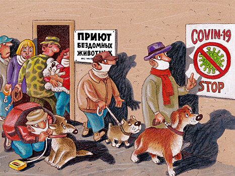 Бизнес на бездомных животных еще более подлый, чем на наркотиках