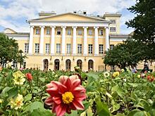 Концерт Максима Павлова пройдет в Российской академии музыки имени Гнесиных