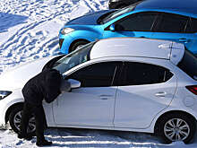 Как «серый» импорт влияет на автомобильный рынок РФ