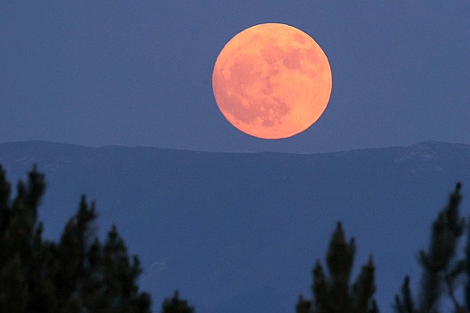 Трамп хочет отправить астронавтов "как можно скорее" на Луну