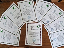 Восемь юных экологов Анапы стали призёрами «Зелёной планеты»