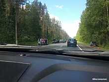 На Зеленогорском шоссе произошла лобовая авария — есть пострадавшие