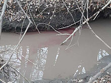 Самые важные события минувших выходных: дайджест новостей за 6-8  ноября