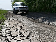 В Воронежской области введен режим ЧС из-за засухи