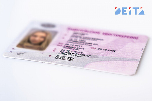 Глава ГИБДД рассказал, в каком случае у водителя аннулируют права