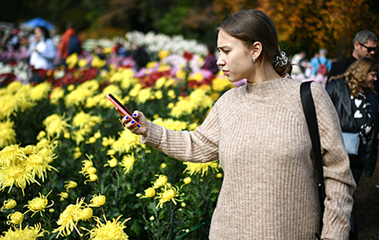 В Никитском ботаническом саду в Крыму проходит традиционный "Бал хризантем"