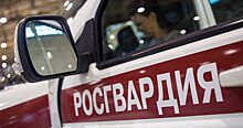 Росгвардейцы устроили погоню за автомобилистом с «солью»