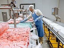 «Мираторг» в два раза увеличил производство кормов для домашних животных