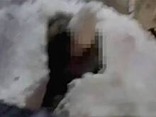 Росгвардейцы в Москве спасли ребенка из сугроба