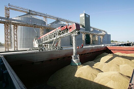 Россия начинает поставки пшеницы в Иран