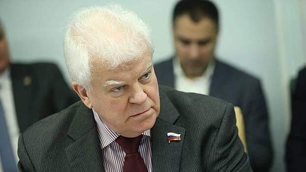 Сенатор Чижов заявил, что поставки танков на Украину не изменят баланс на поле боя