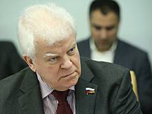 Сенатор Чижов заявил, что поставки танков на Украину не изменят баланс на поле боя