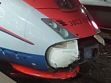 В Тверь с опозданием прибыл "Сапсан" из-за сбитой коровы