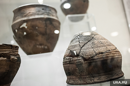 Статью курганского ученого впервые опубликовали в английском журнале