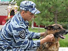 Арес представит Дальний Восток в Ростове