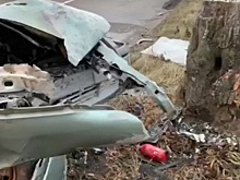 В Гурьевском районе легковушка протаранила дерево