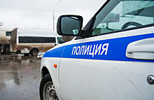 Не свое — не жалко. Владимирские полицейские выстроили «живой щит» из проезжающих по М7 машин
