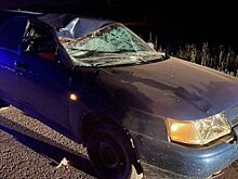 В Башкирии под колесами автомобиля погиб 39-летний мужчина
