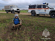 МЧС: в Крыму нашли и обезвредили снаряд и ручную гранату времен ВОВ