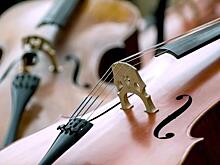 Жители Текстильщиков посетили Московскую филармонию