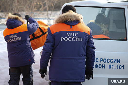 Сотрудники МЧС под Челябинском вытащили из ручья пенсионерку, спасавшую собаку