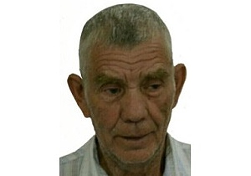 Нижегородский пенсионер Иван Васин ушел в лес за ягодами и пропал