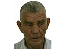 Нижегородский пенсионер Иван Васин ушел в лес за ягодами и пропал