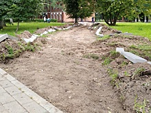 Специалисты приступили к благоустройству дорожек в поселке Щапово