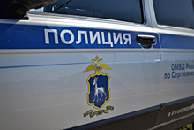 В Самарской области полицейские разыскали заблудившуюся в лесу пенсионерку