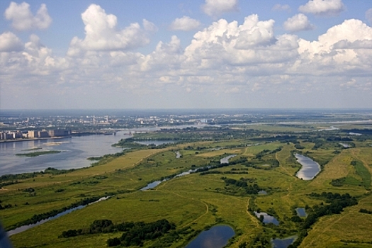 Более 50% земель лесфонда Нижегородской области не состоят на кадастровом учете