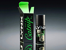 Lynx выпустил дезодорант с кошачьей мятой
