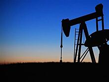 Структура "Роснефти" получила нефтеносный участок в Борском районе