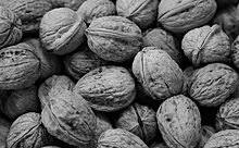 «Царь-орех»: зачем есть грецкие орехи