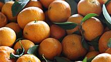 Природное противоядие: чем полезны мандарины и как их выбрать