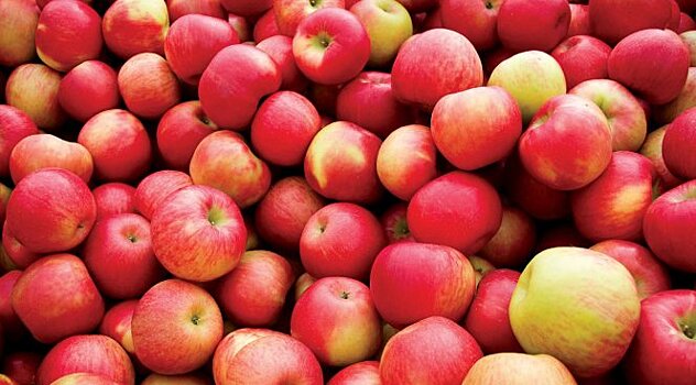 Медики доказали пользу яблок