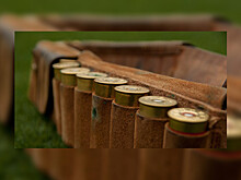 В Алтайском крае за год существенно сократилось число браконьеров