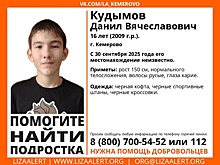 Волонтеры подключились к поискам пропавшего в Кемерове подростка