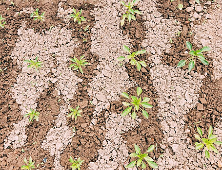 Полимеры предотвратили эрозию почвы