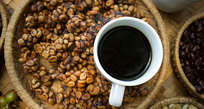 Биологи раскрыли тайну вкуса самого дорогого кофе в мире
