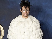 Миллер пришел на лондонскую премьеру «Фантастических тварей» в костюме ангела-совы, а Депп и Лоу — в бархатных пиджаках